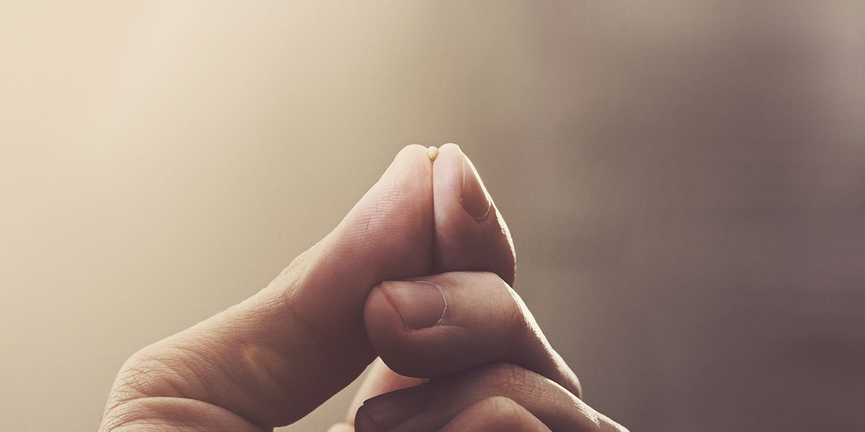 La foi comme un grain de moutarde