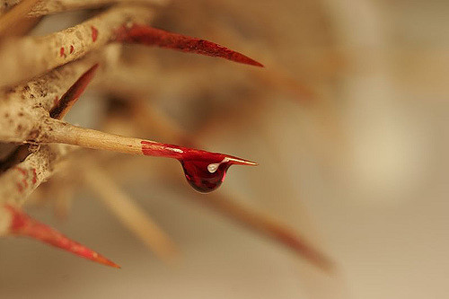 L’agonie de Christ