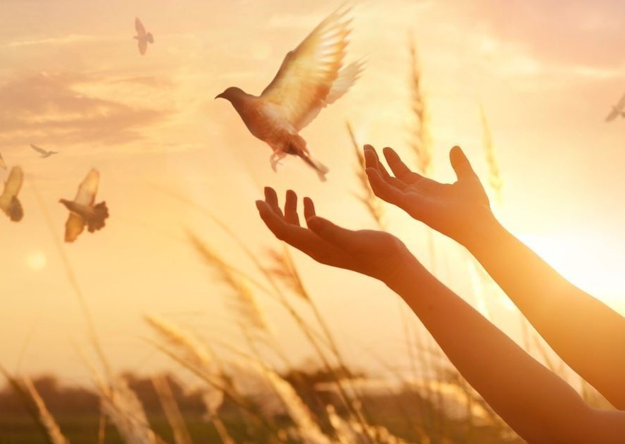 Les choses d’en-haut sur terre