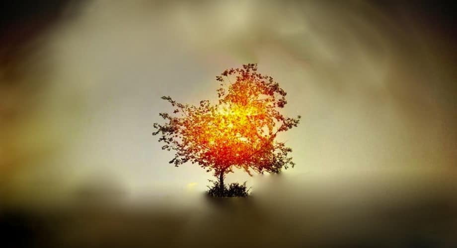 La sainteté de Dieu