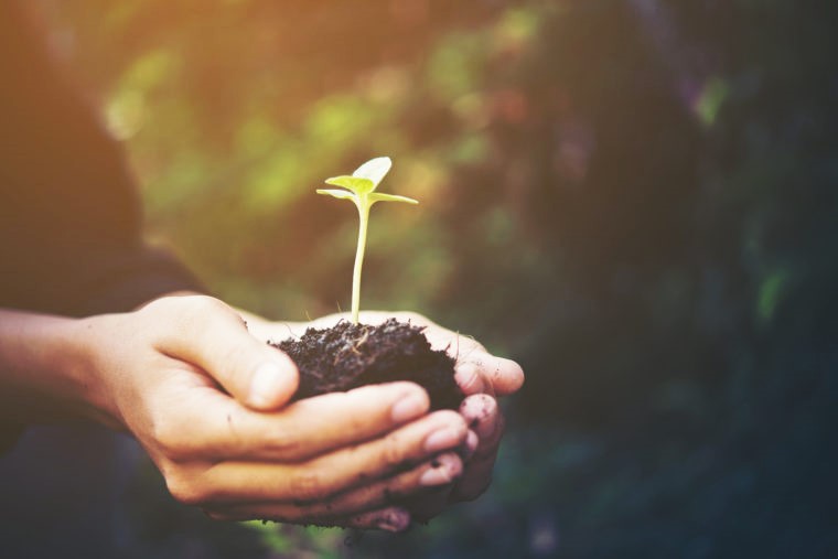 La croissance du chrétien  ( 1 Jean 2v12-17 )