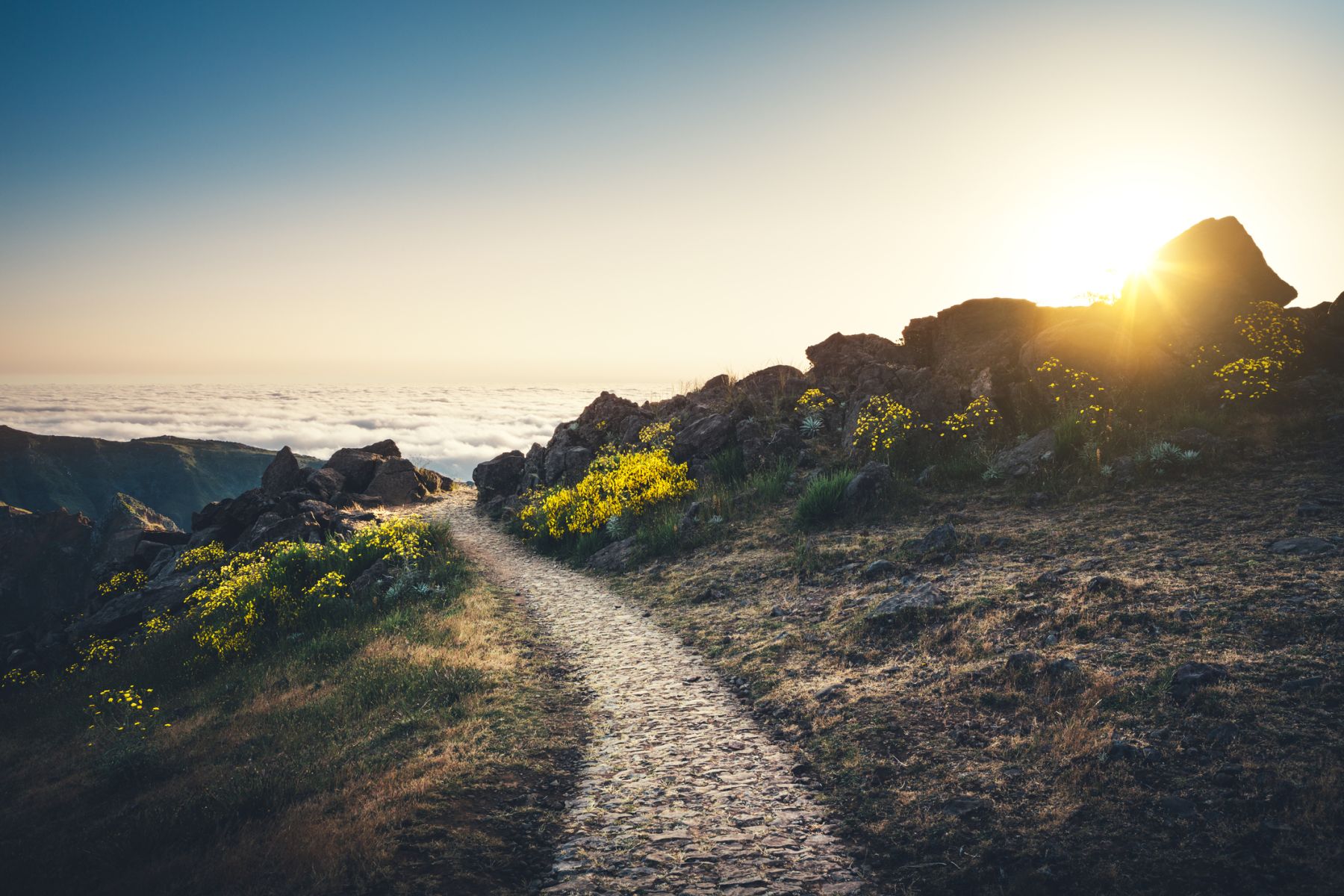 Va et ne pèche plus