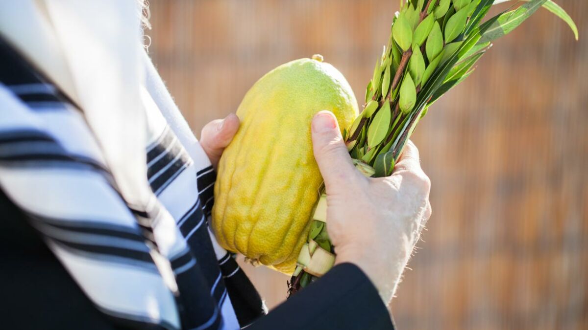 Être bénédiction au travers de la fête de Souccot et des récoltes