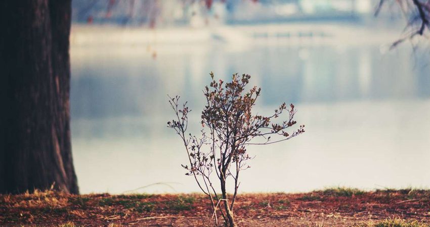 L’orgueil, l’humilité et la gloire
